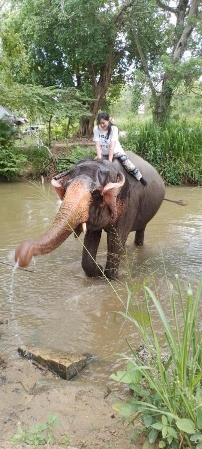 Habarana New Star Homestay ภายนอก รูปภาพ